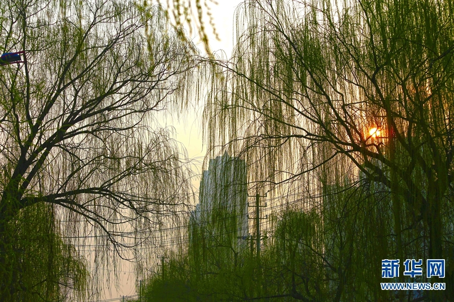 图片2.png