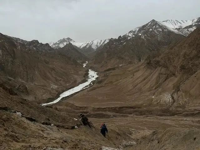 微信图片_20240417141054.jpg