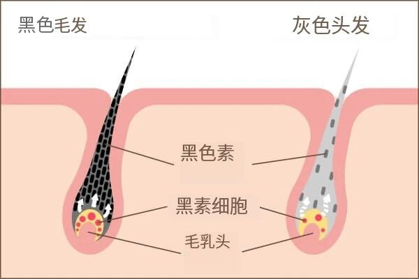 微信图片_20240527101231.jpg