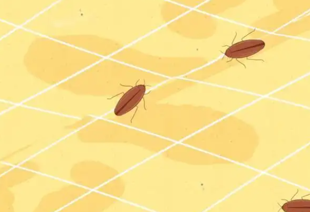 微信图片_20250612134142.png