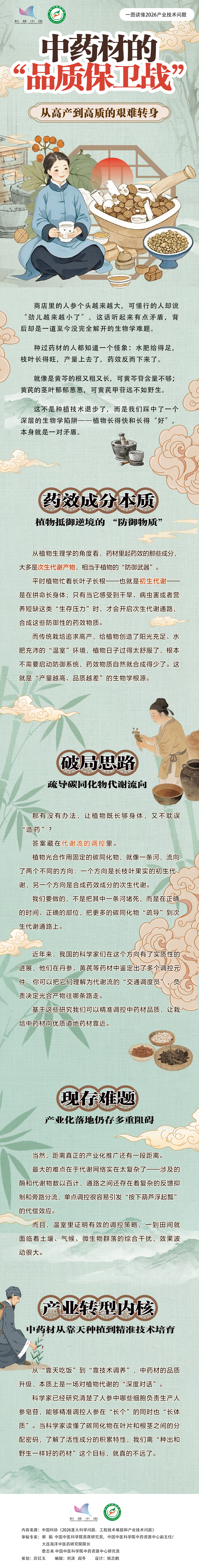 中药材的“品质保卫战”：从高产到高质的艰难转身.jpg